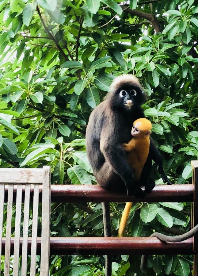 Sari Village Jungle Retreat ปันไตเจอนัง ภายนอก รูปภาพ